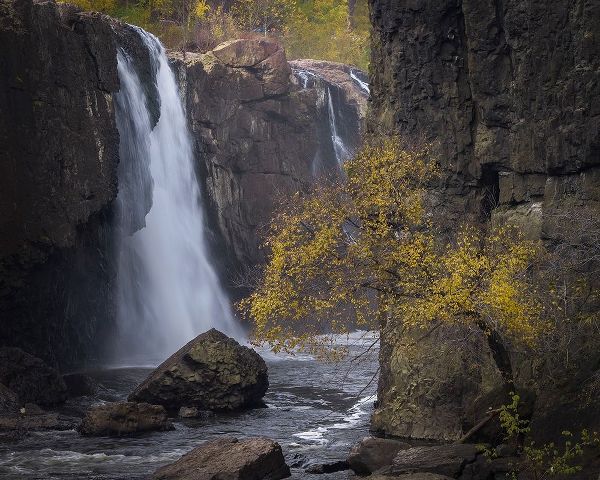 Jaynes Gallery 아티스트의 USA-New Jersey-Great Falls State Park Waterfall and tree in autumn작품입니다.